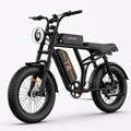 URLIFE T2 fat tyre electric bike on the same near-white studio background as the URLIFE E20 product image